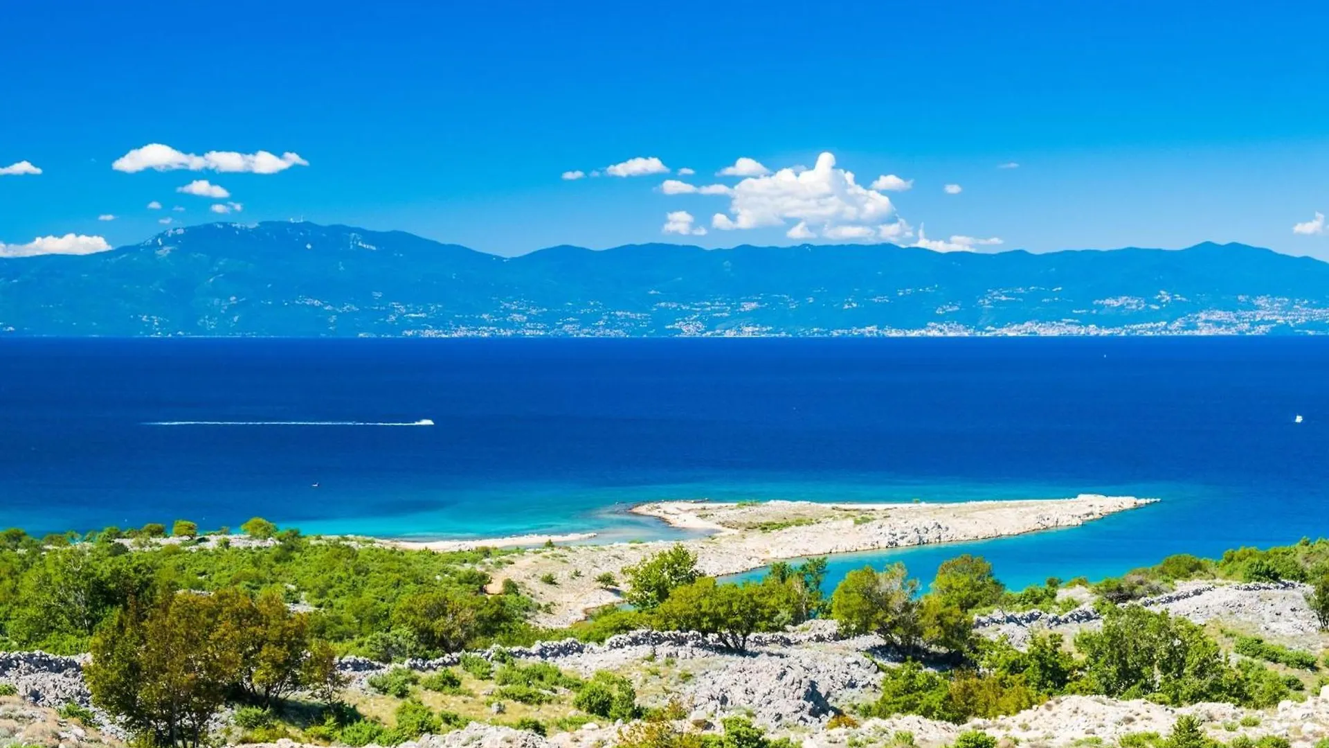Holiday home Family House Rose With Pool - Happy Rentals Pinezici  Croatia